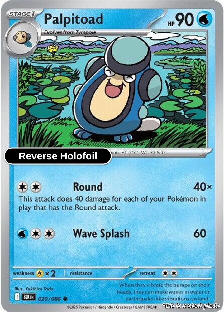 Palpitoad - 020/086 - [BLK - SV: Black Bolt] - Reverse Holofoil