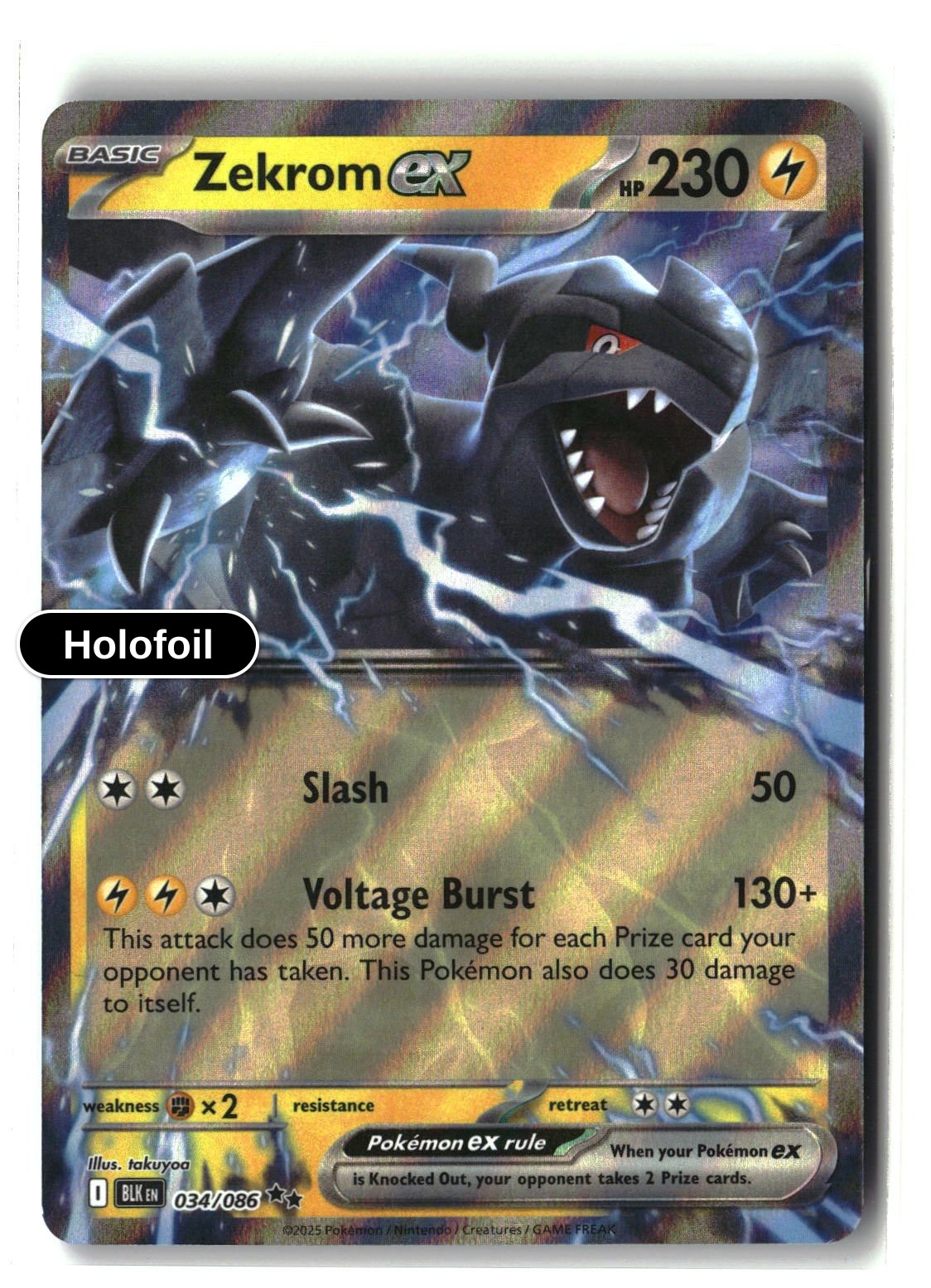 Zekrom ex