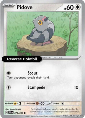 Pidove - 071/086 - [BLK - SV: Black Bolt] - Reverse Holofoil
