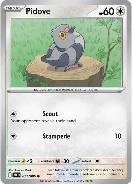 Pidove [BLK - 071/086]
