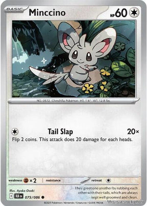 Minccino - 075/086 - [BLK - SV: Black Bolt]