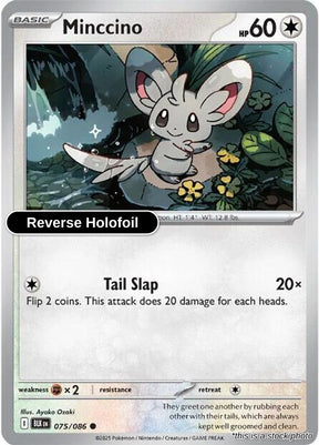 Minccino - 075/086 - [BLK - SV: Black Bolt] - Reverse Holofoil