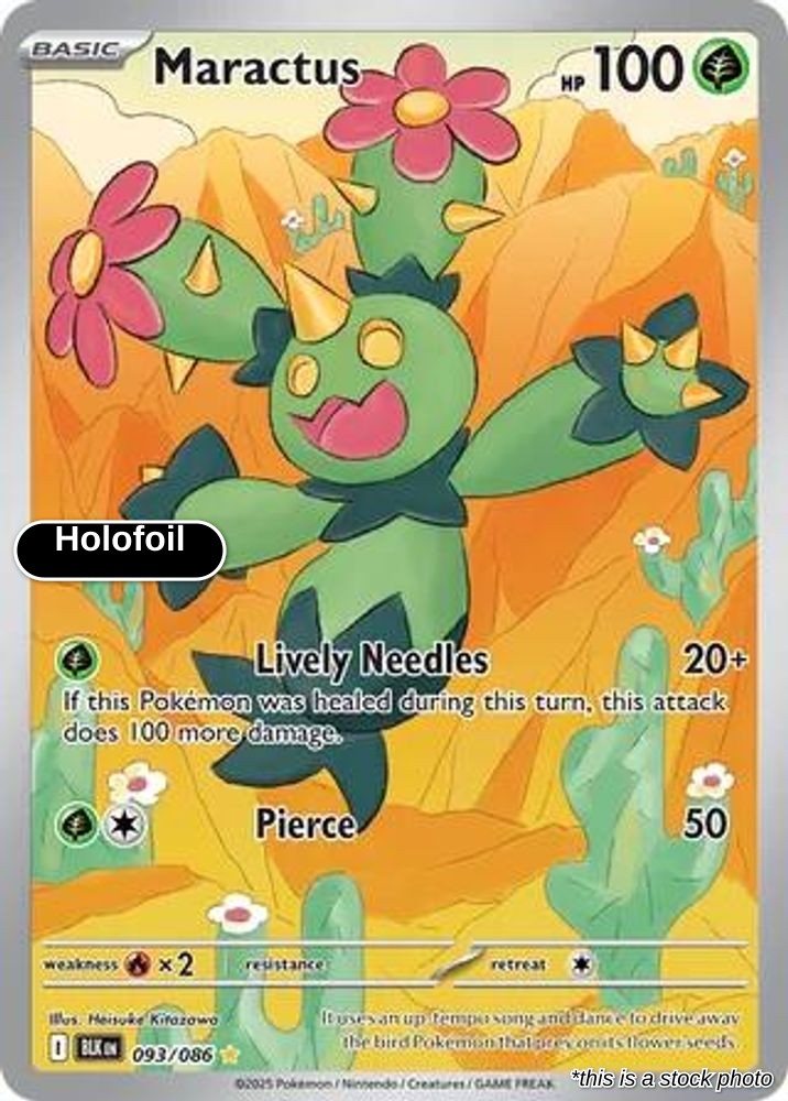 Maractus - 093/086