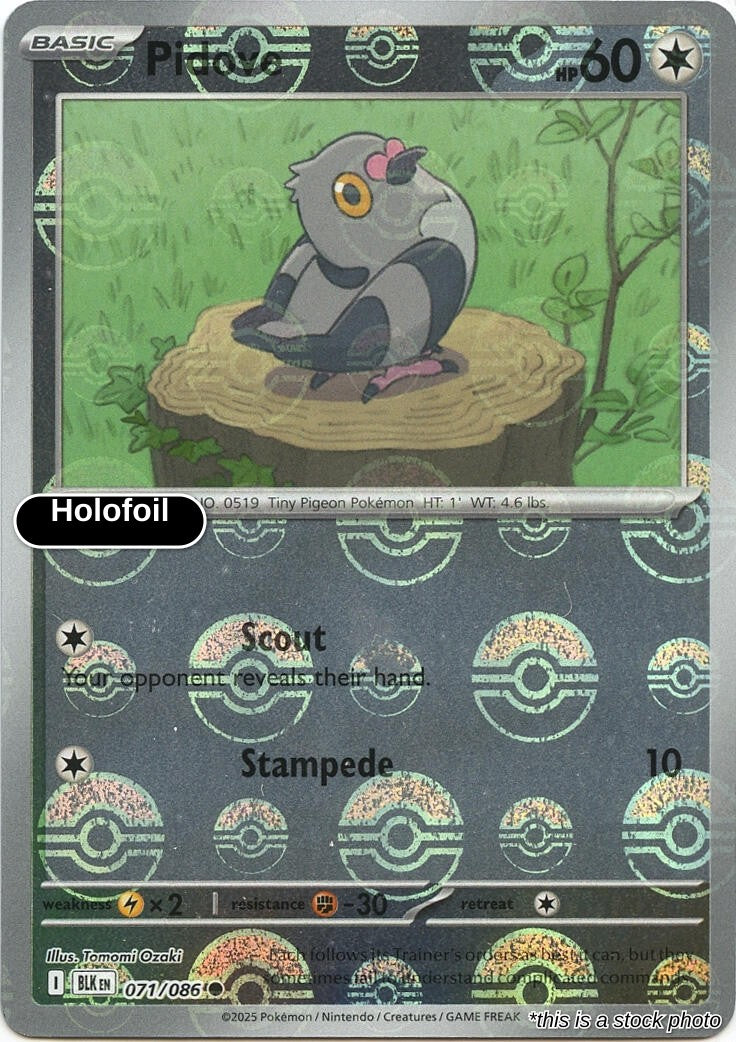 Pidove (Poke Ball Pattern)