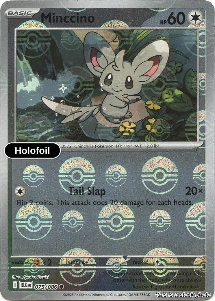 Minccino (Poke Ball Pattern)