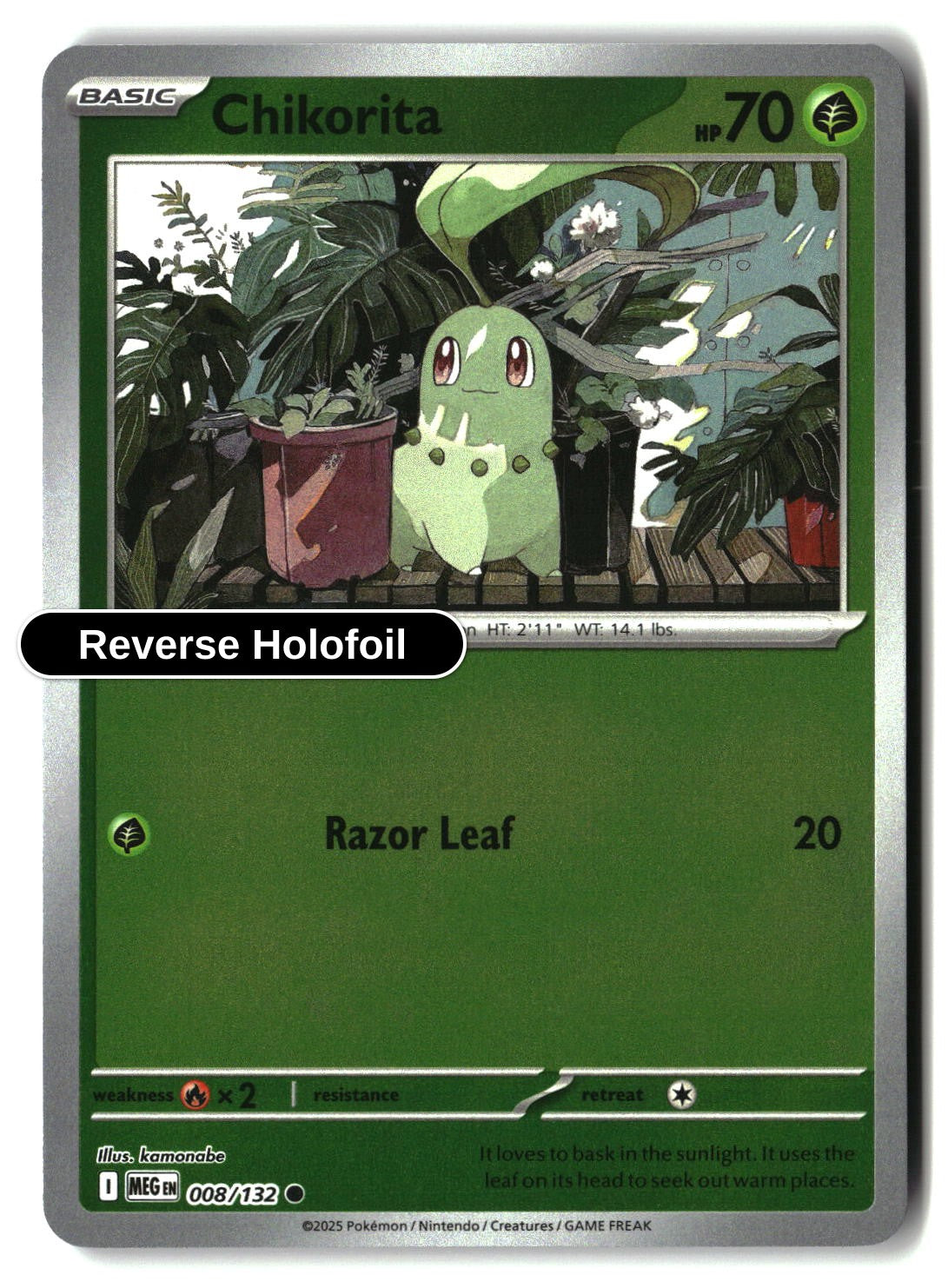 Chikorita - 008/132 - [MEG - ME01: Mega Evolution] - Reverse Holofoil
