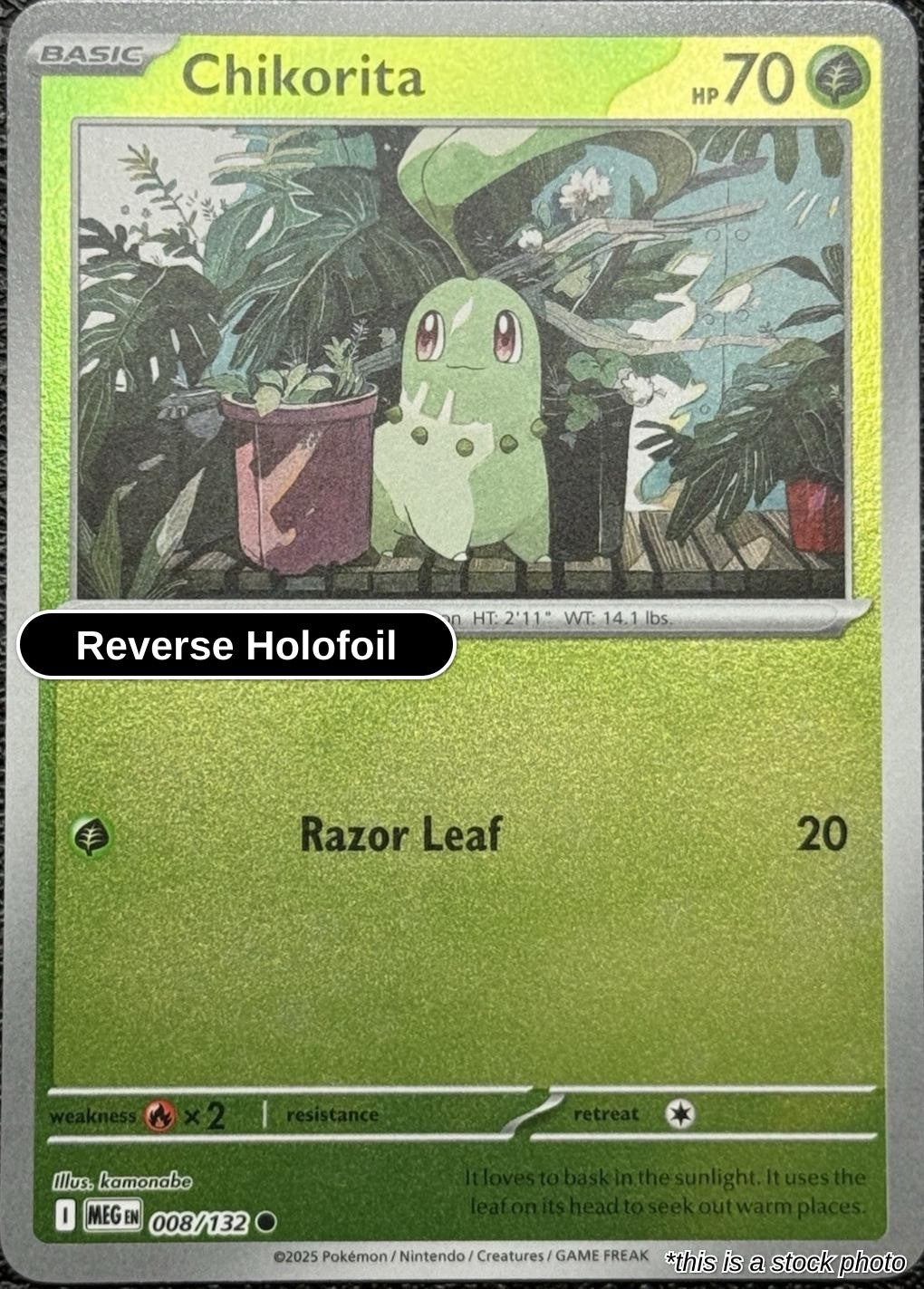 Chikorita - 008/132 - [MEG - ME01: Mega Evolution] - Reverse Holofoil