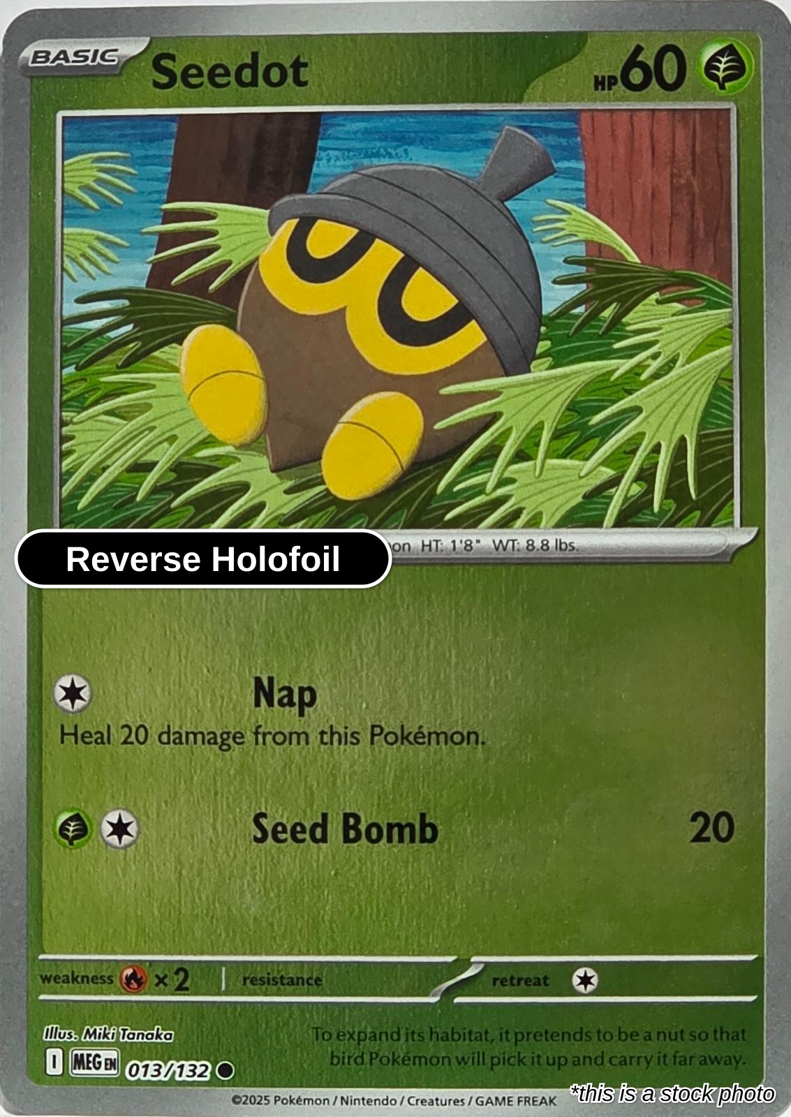 Seedot - 013/132 - [MEG - ME01: Mega Evolution] - Reverse Holofoil