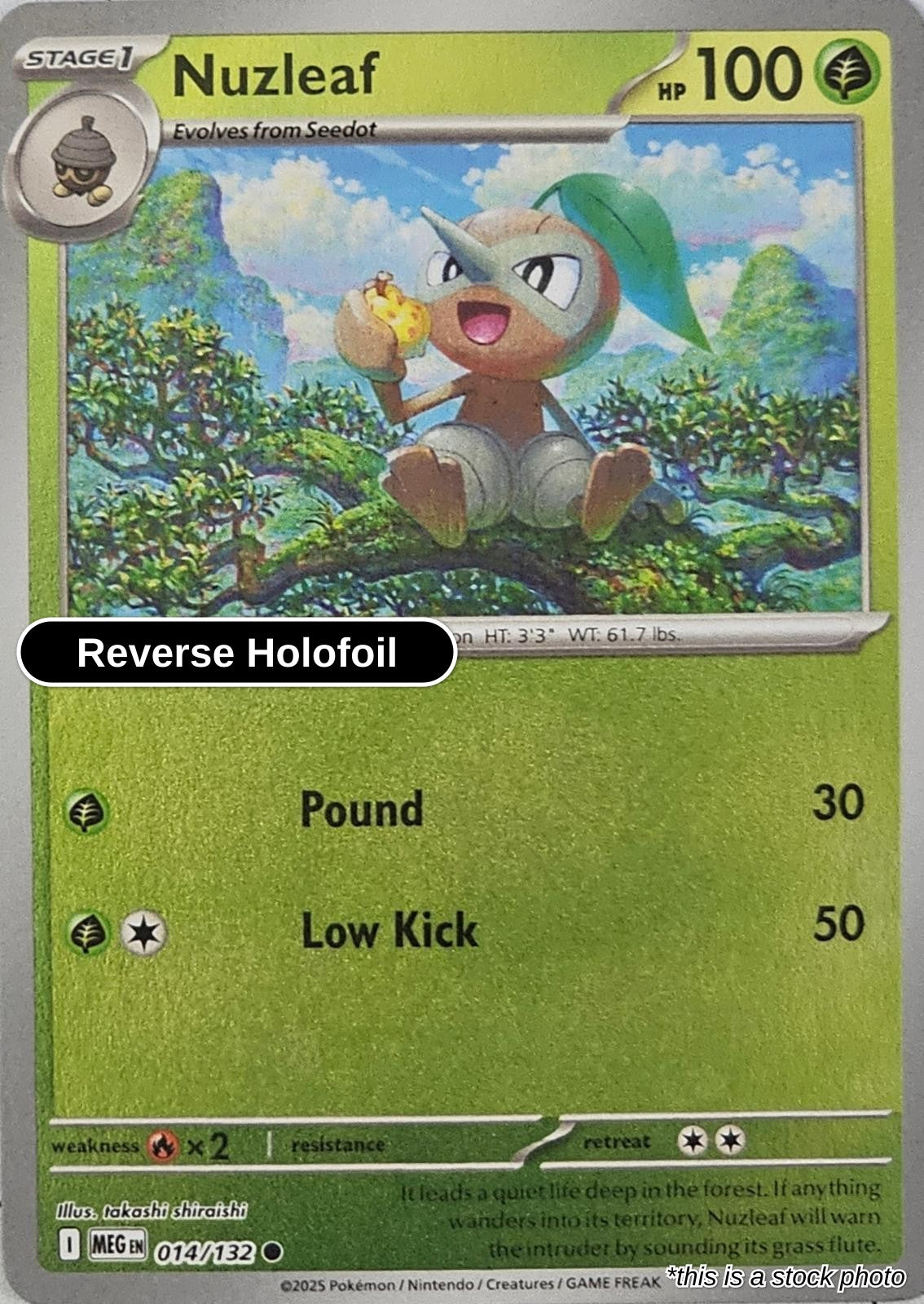 Nuzleaf -Reverse Holofoil - 014/132 - [MEG - ME01: Mega Evolution]