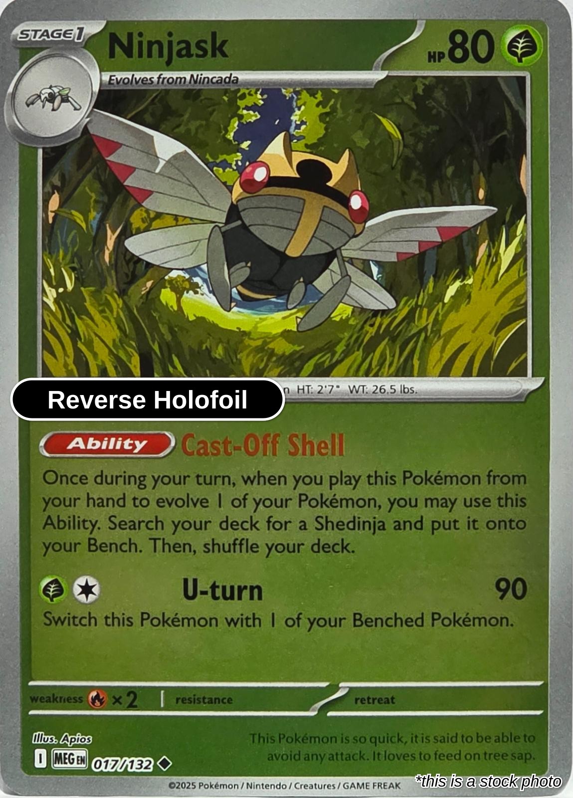 Ninjask - 017/132 - [MEG - ME01: Mega Evolution] - Reverse Holofoil