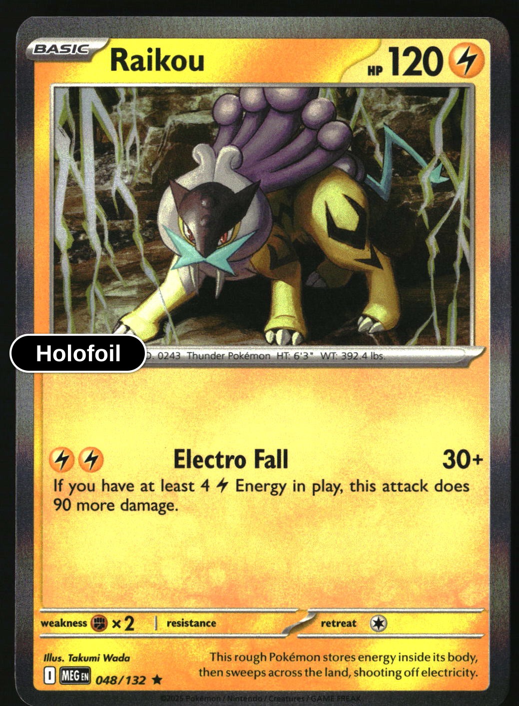 Raikou - 048/132 - [MEG - ME01: Mega Evolution] - Holofoil