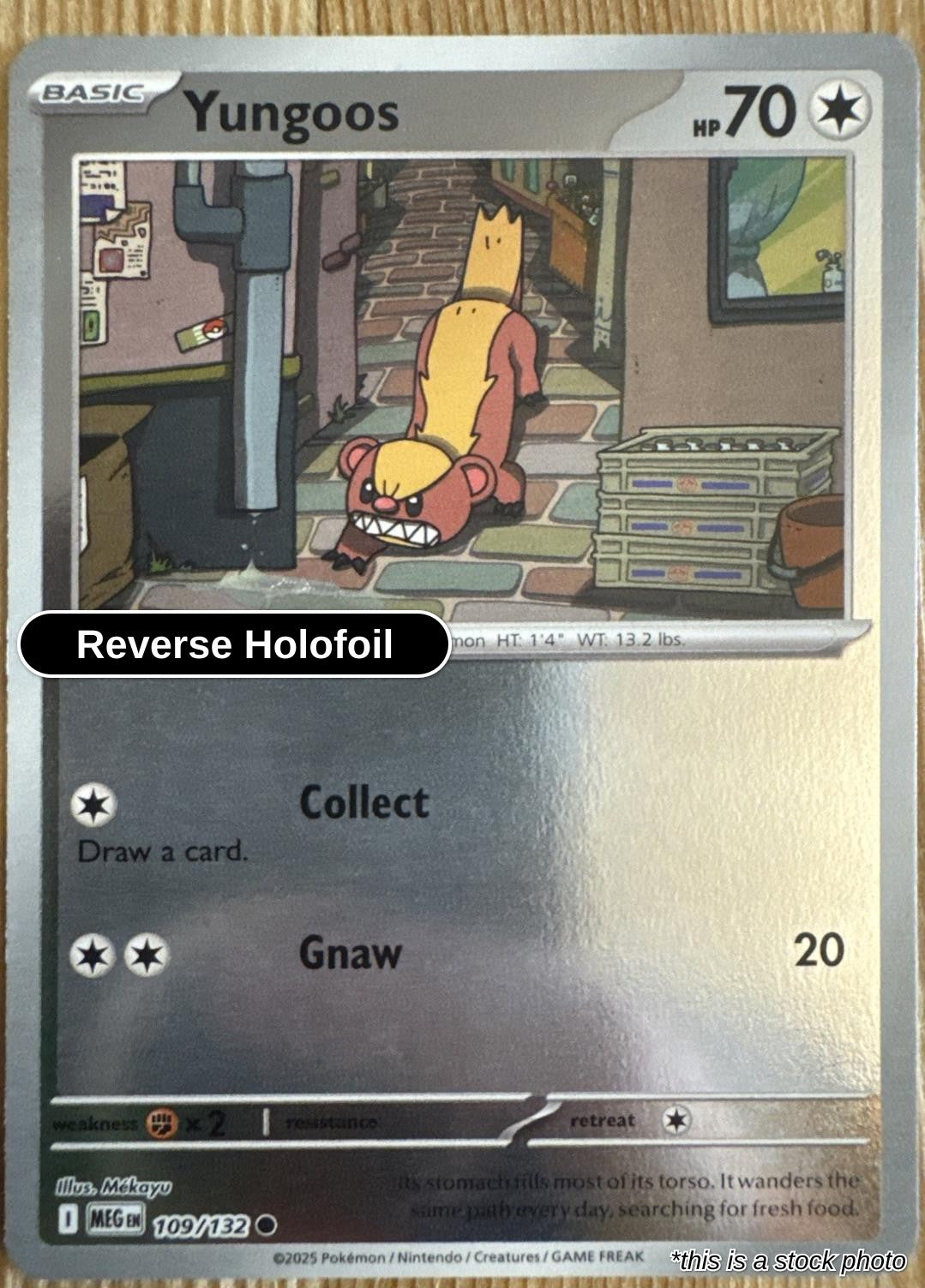 Yungoos - 109/132 - [MEG - ME01: Mega Evolution] - Reverse Holofoil
