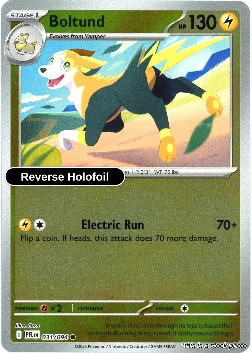 Boltund - 031/094 - [PFL - ME02: Phantasmal Flames] - Reverse Holofoil