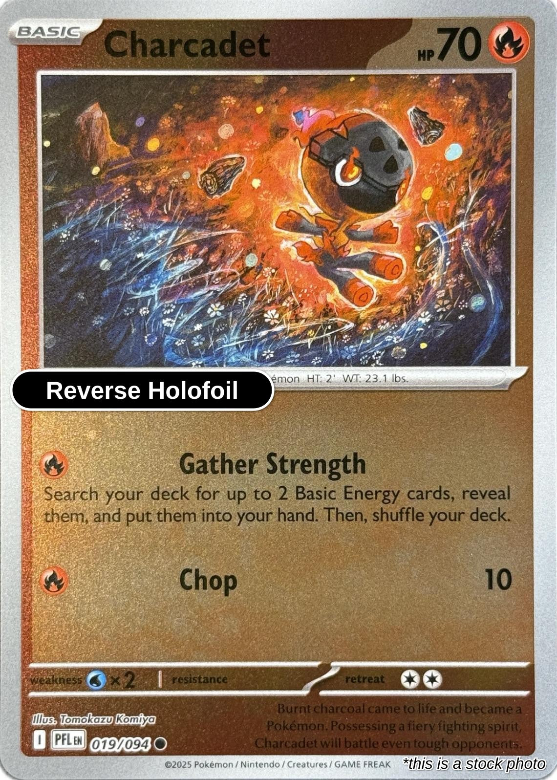 Charcadet - 019/094 - [PFL - ME02: Phantasmal Flames] - Reverse Holofoil