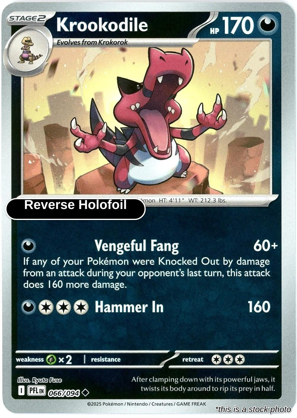 Krookodile