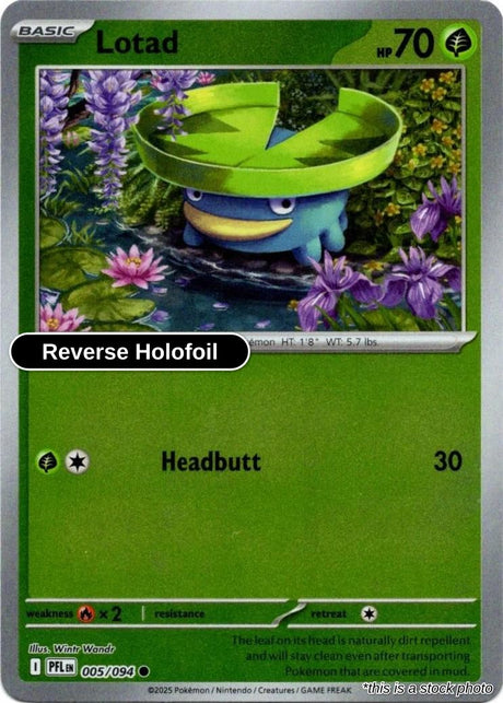 Lotad - 005/094 - [PFL - ME02: Phantasmal Flames] - Reverse Holofoil