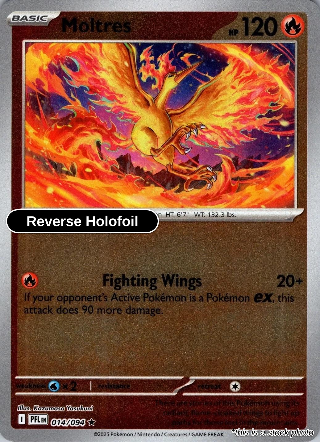 Moltres - 014/094 - [PFL - ME02: Phantasmal Flames] - Reverse Holofoil