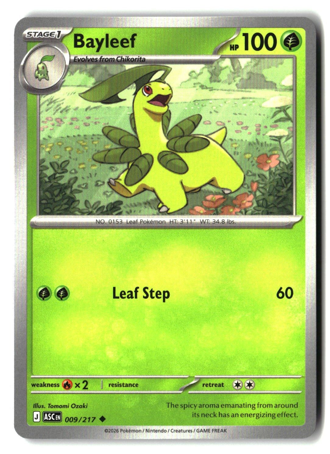Bayleef