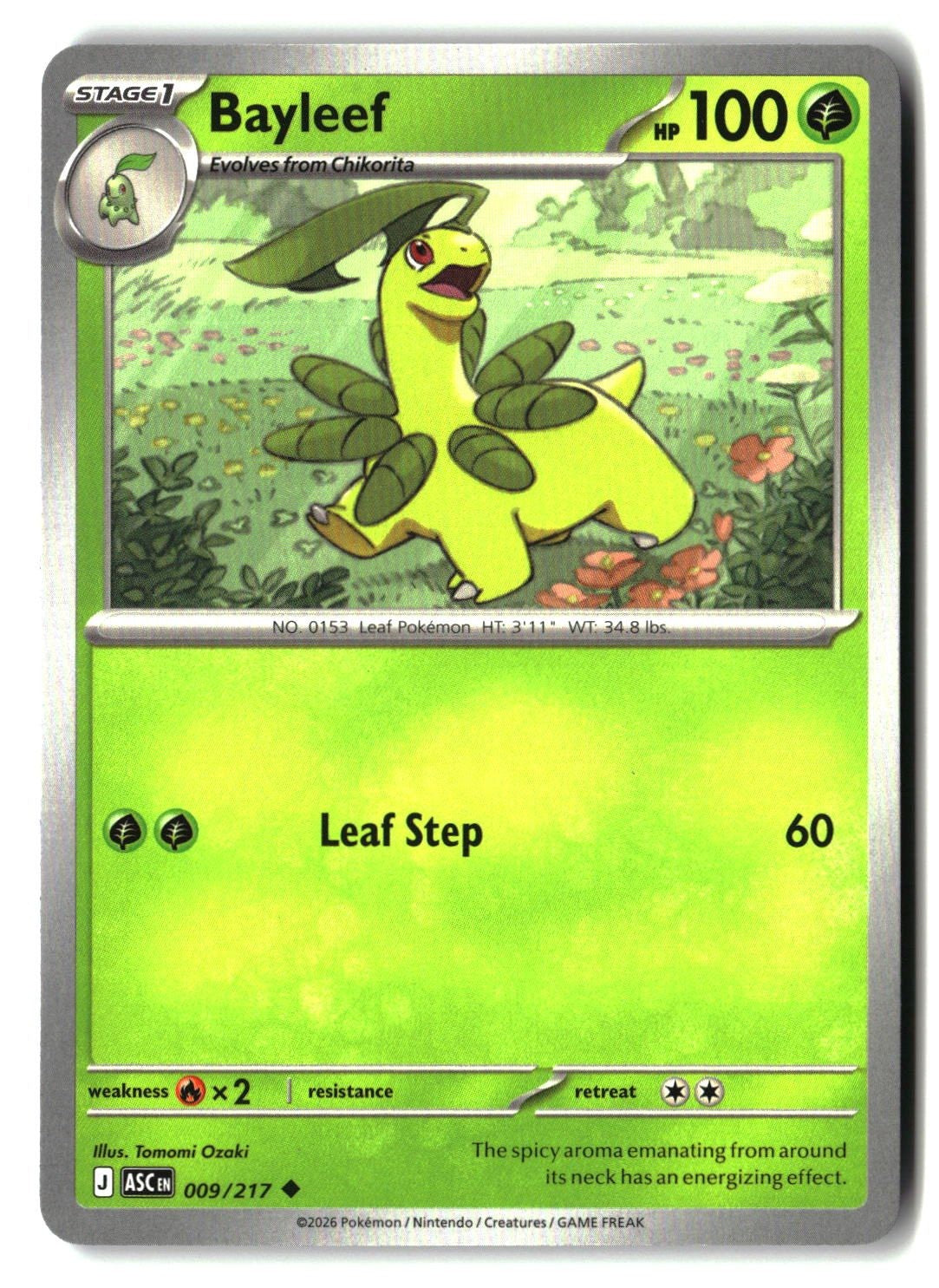 Bayleef