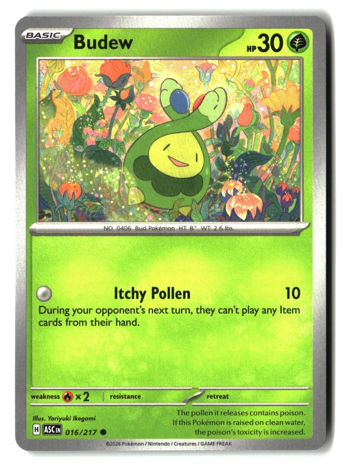 Budew - 016/217