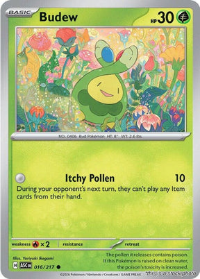 Budew - 016/217