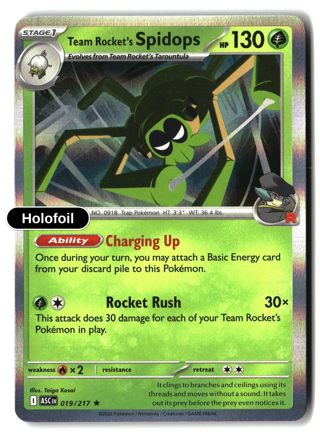 Team Rocket's Spidops