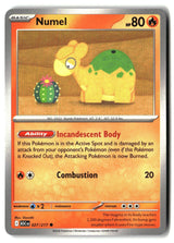 Numel - 027/217
