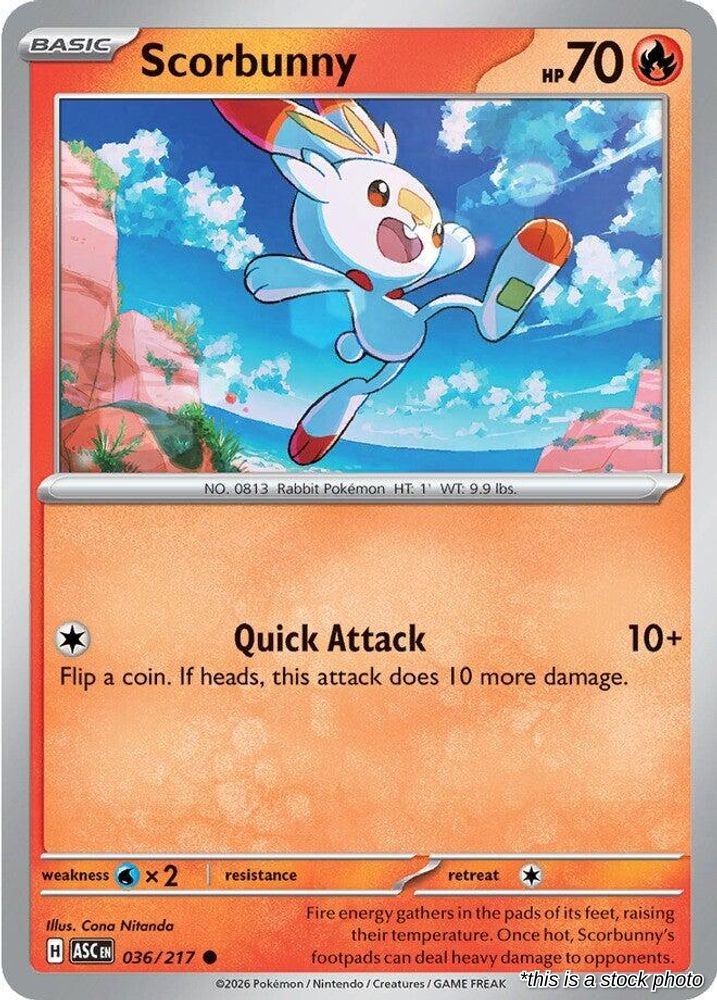 Scorbunny - 036/217