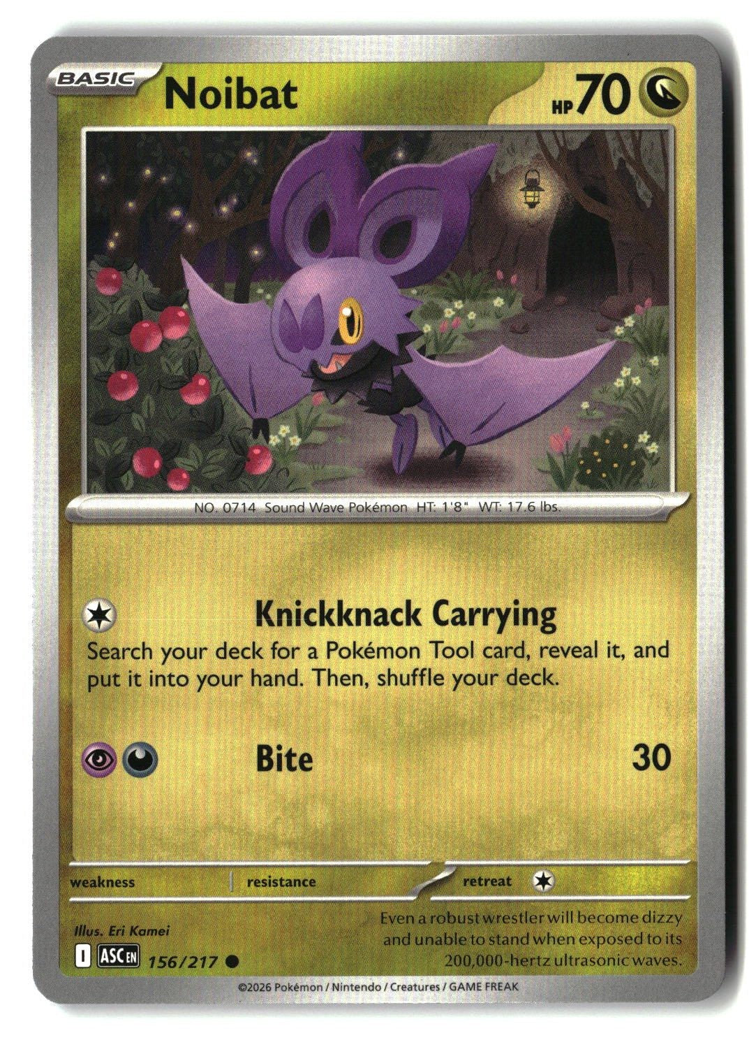 Noibat