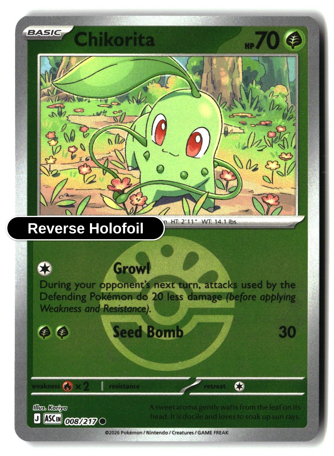 Chikorita (Friend Ball)