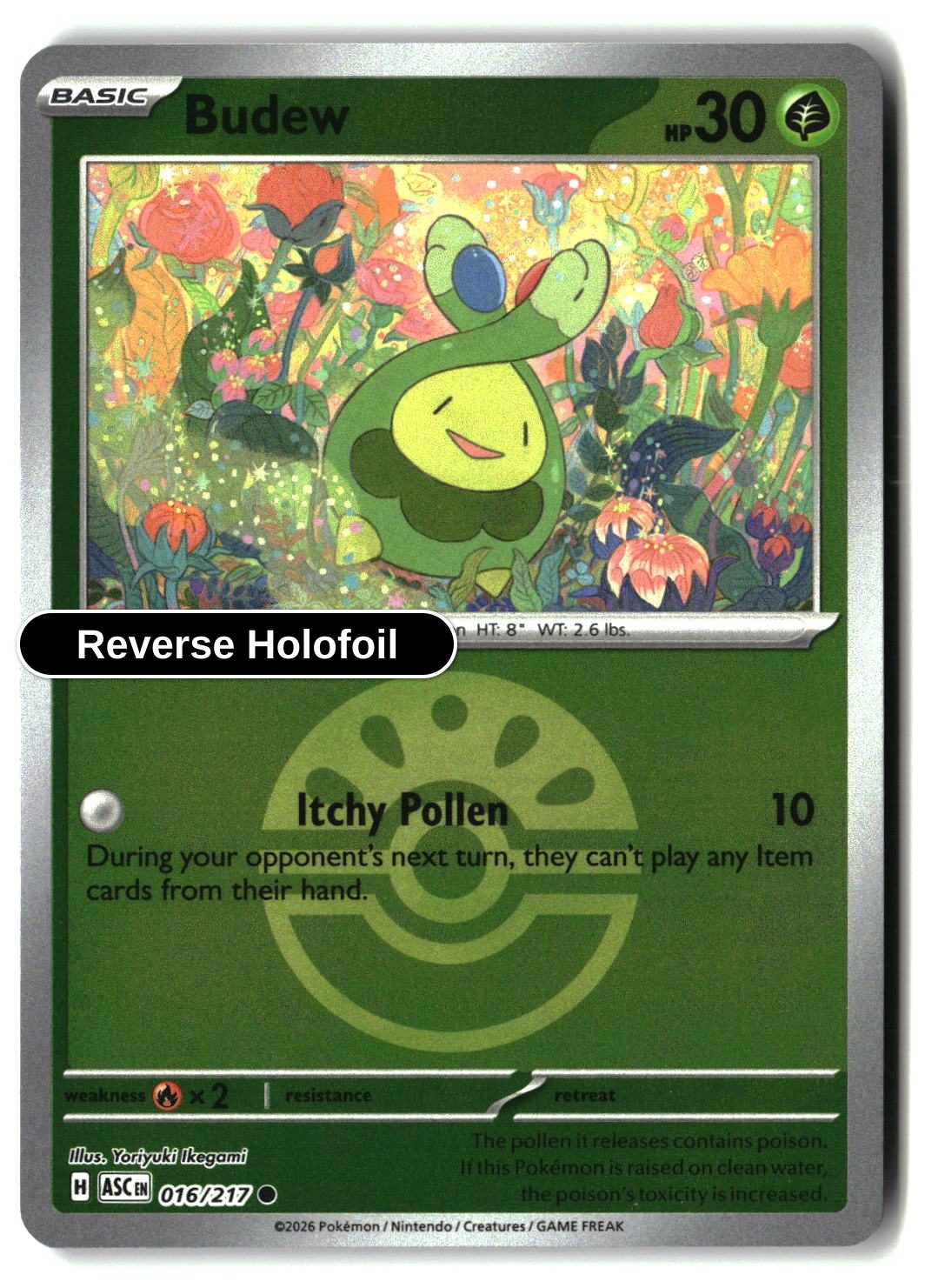 Budew - 016/217 (Friend Ball)