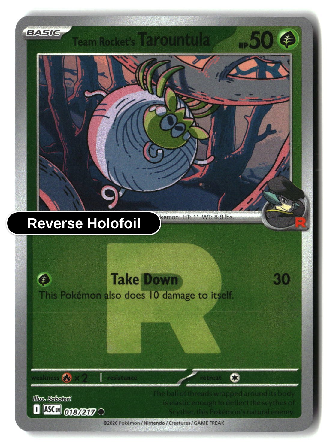 Team Rocket's Tarountula (Team Rocket)
