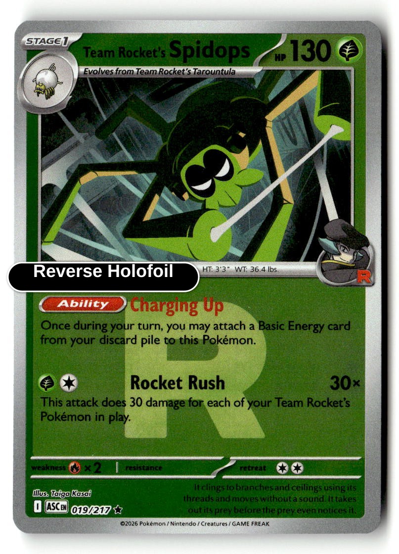 Team Rocket's Spidops (Team Rocket)