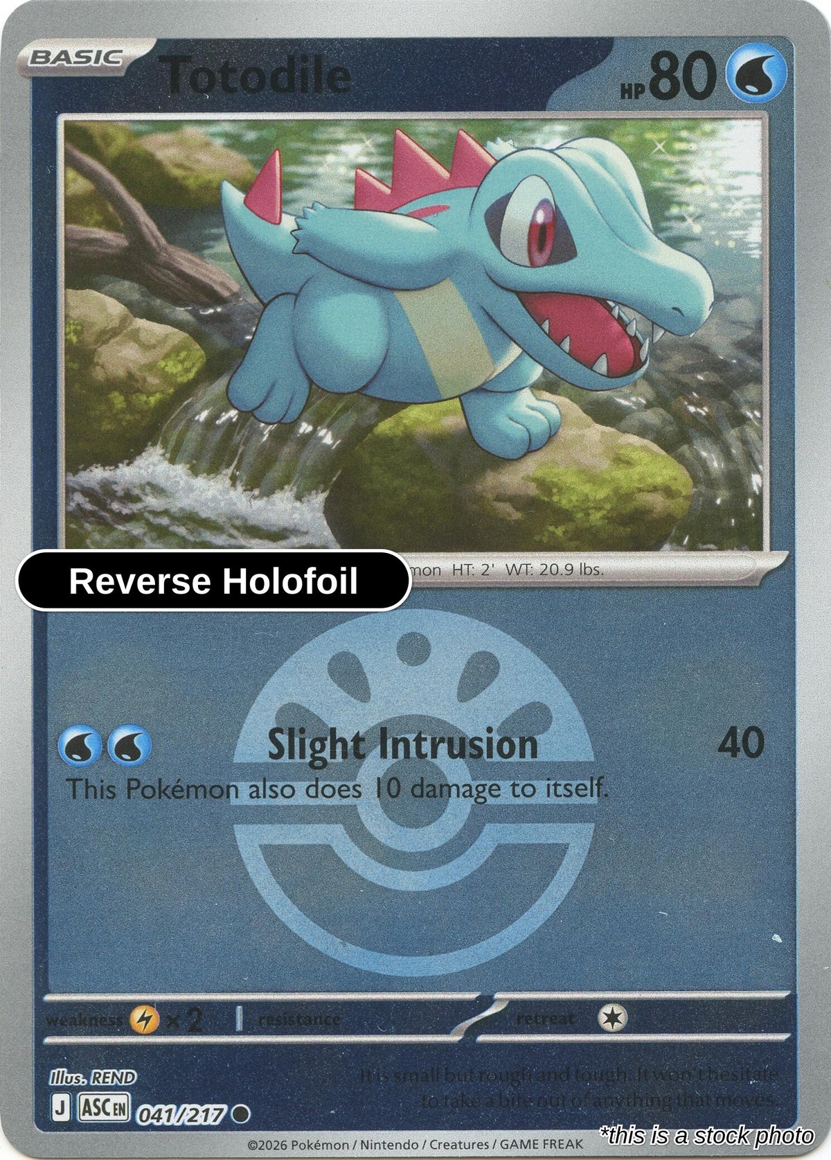 Totodile (Friend Ball)