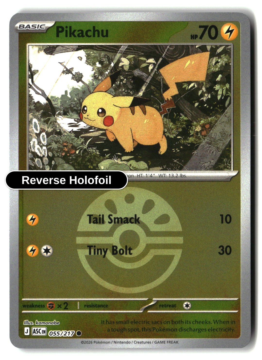 Pikachu (Friend Ball)