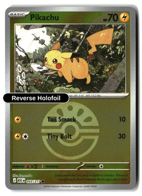 Pikachu (Friend Ball)