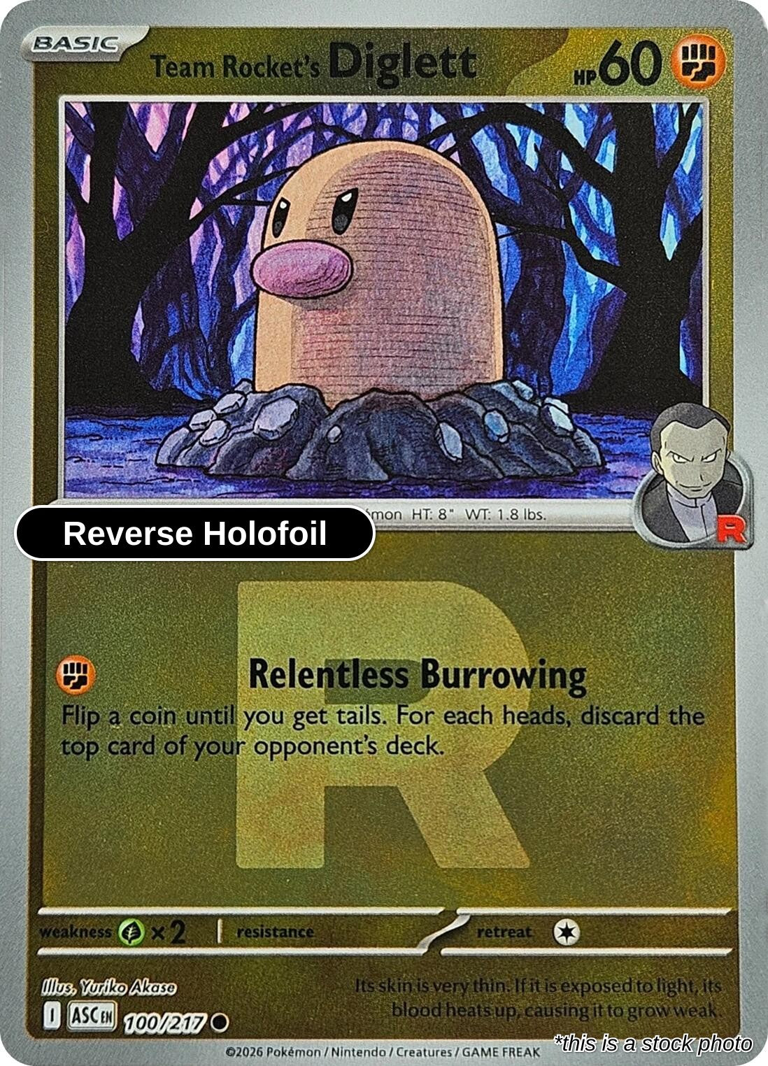 Team Rocket's Diglett (Team Rocket)