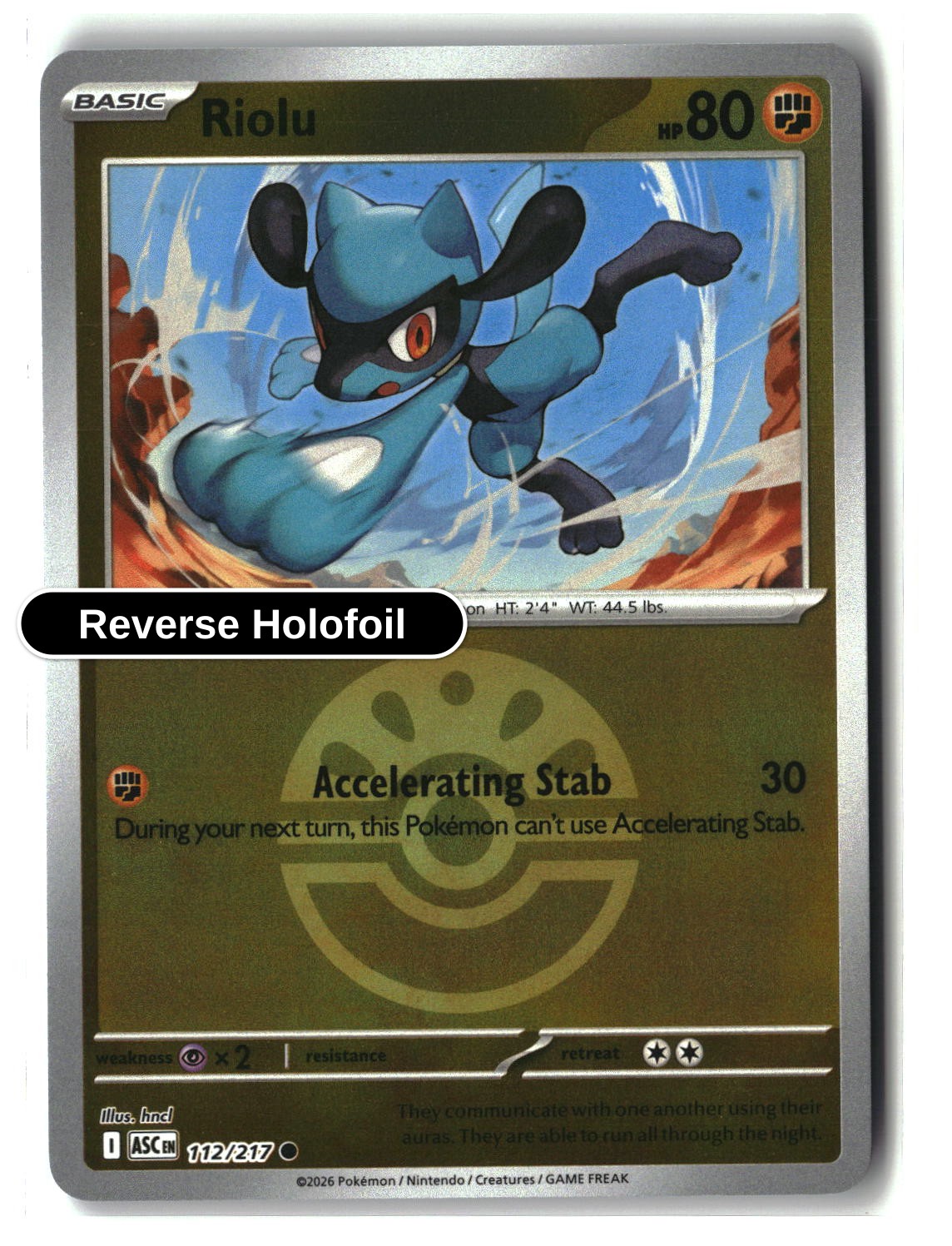 Riolu (Friend Ball)