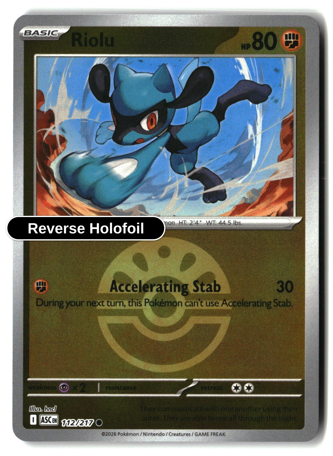 Riolu (Friend Ball)
