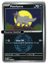 Poochyena (Dusk Ball)