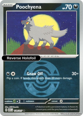 Poochyena (Dusk Ball)