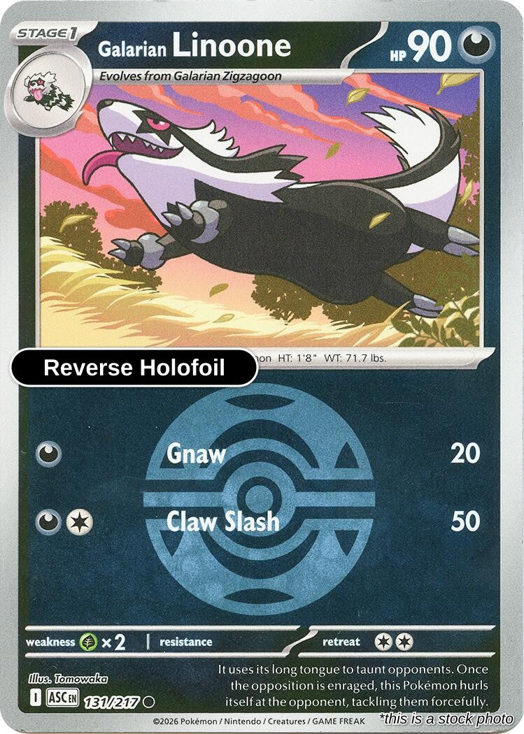 Galarian Linoone (Dusk Ball)