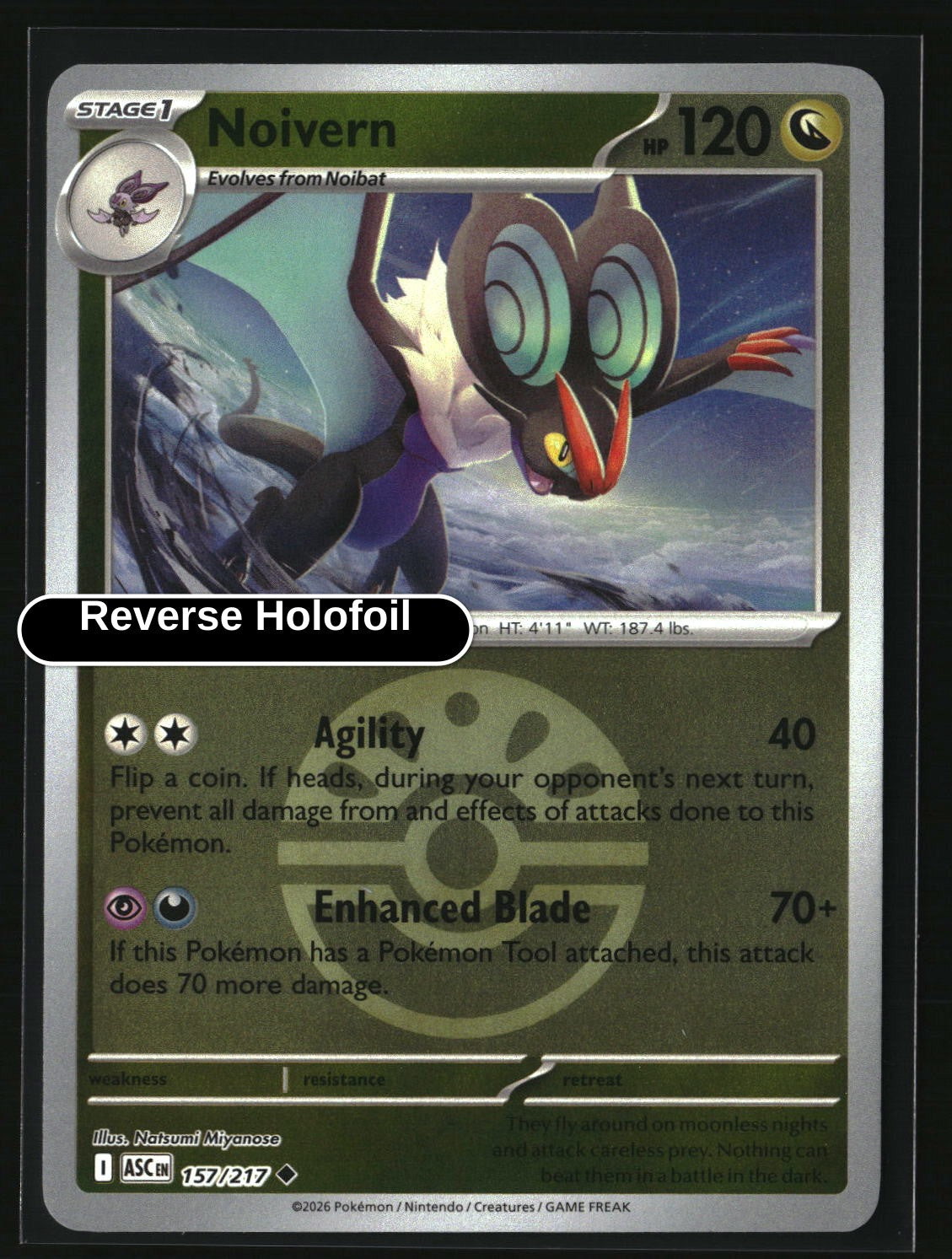 Noivern (Friend Ball)