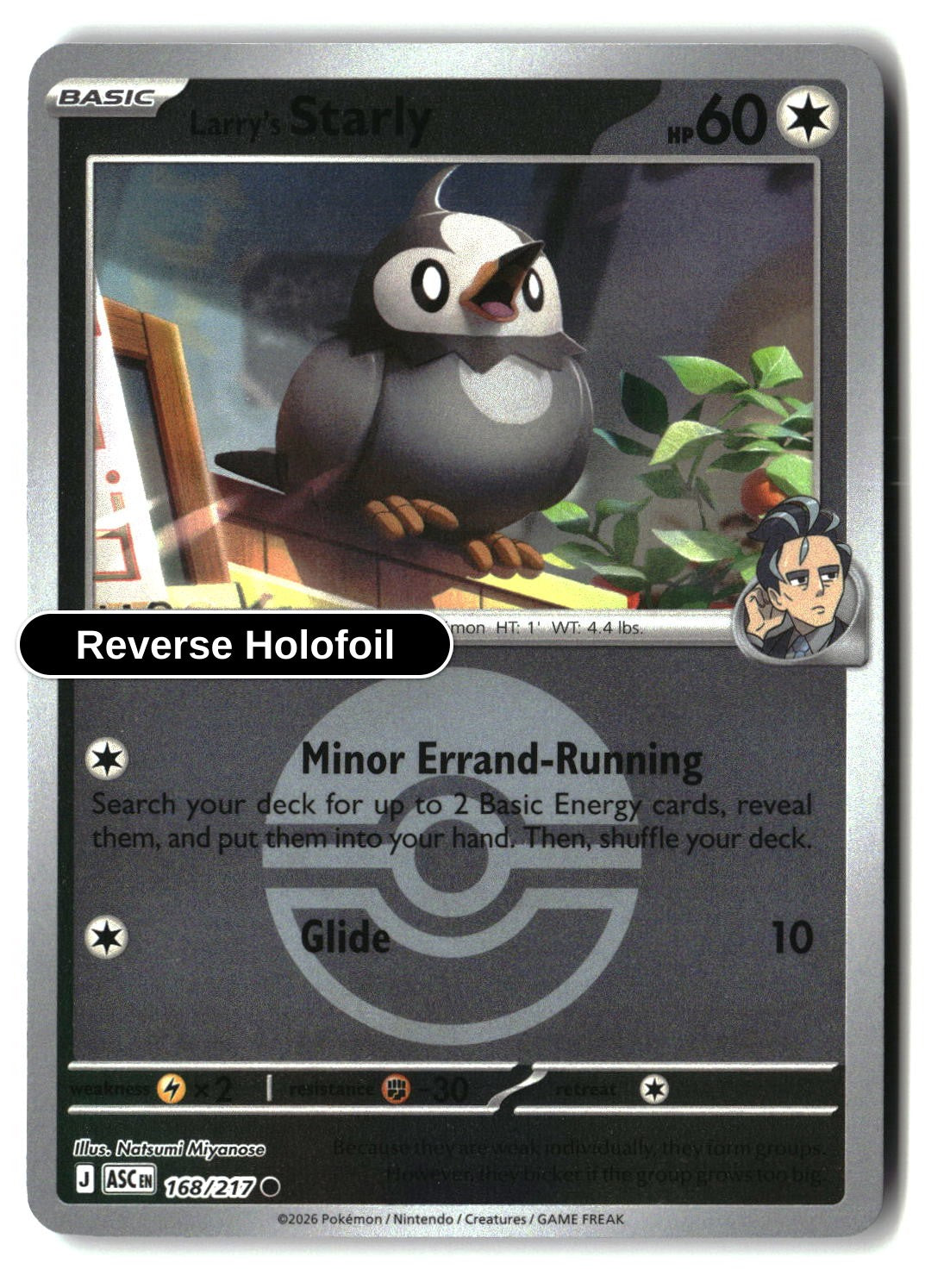 Larry's Starly (Poke Ball)