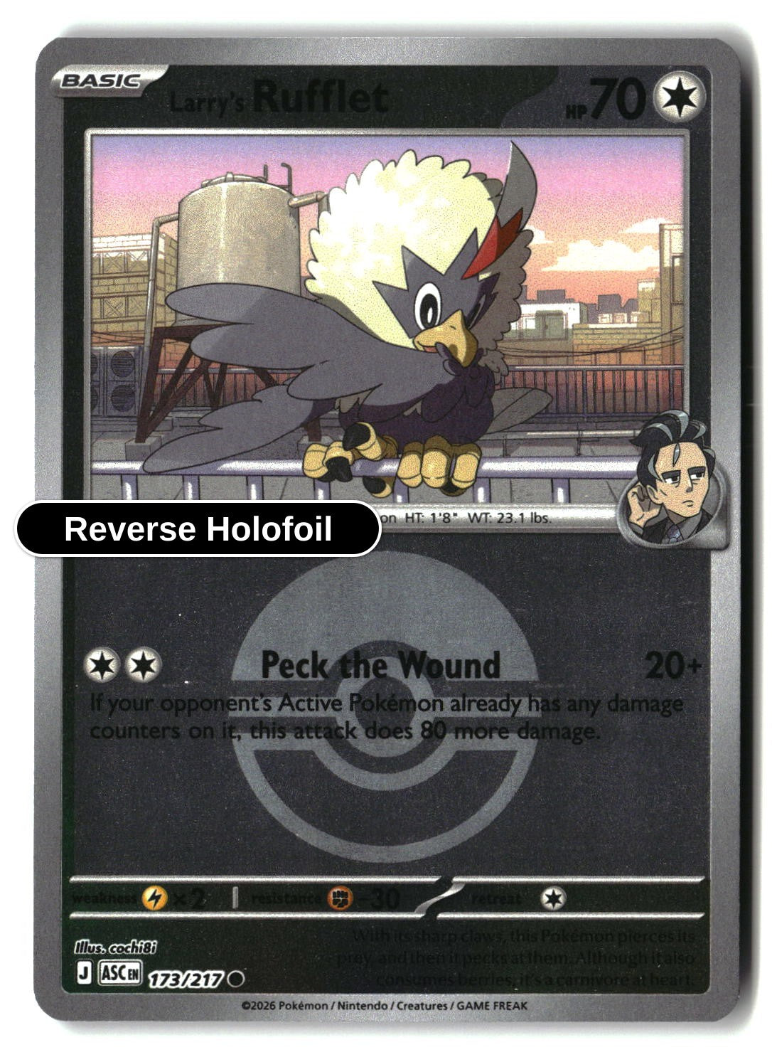 Larry's Rufflet (Poke Ball)