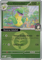 Erika's Victreebel (Energy Symbol Pattern)