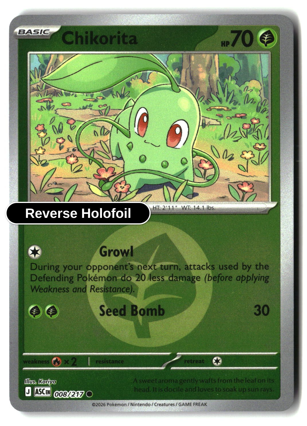 Chikorita (Energy Symbol Pattern)