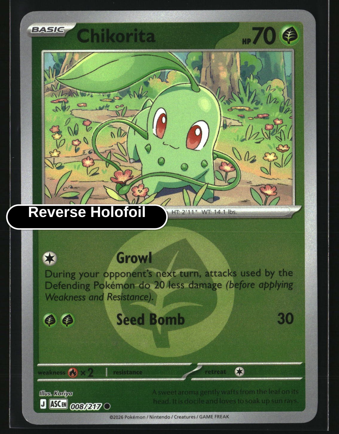 Chikorita (Energy Symbol Pattern)