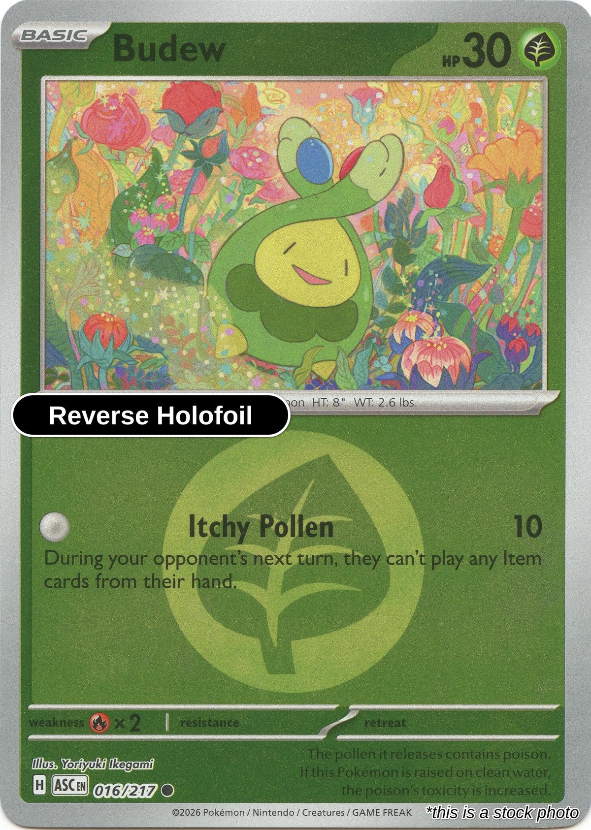 Budew - 016/217 (Energy Symbol Pattern)