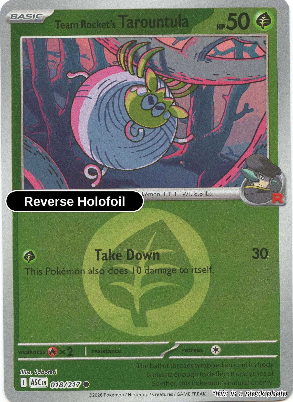 Team Rocket's Tarountula (Energy Symbol Pattern)